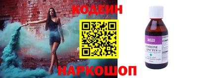 бошки Кингисепп