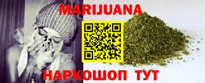 бошки Кингисепп