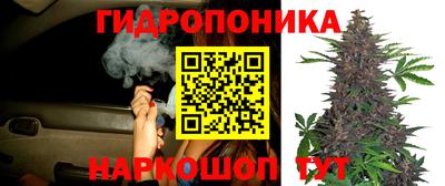 тгк Кинель