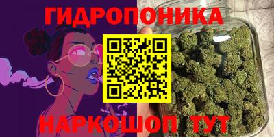 мяу мяу мука Кандалакша