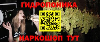 бошки Кингисепп