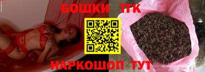 бошки Кингисепп
