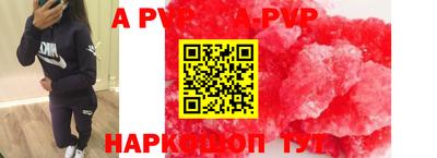 бошки Кингисепп