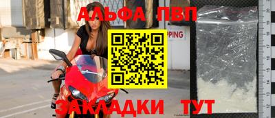 бошки Кингисепп