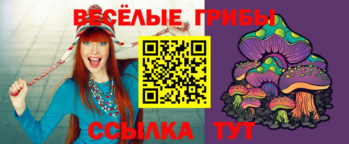 Коряжма  Галлюциногенные грибы ЛСД  Вход с VPN 